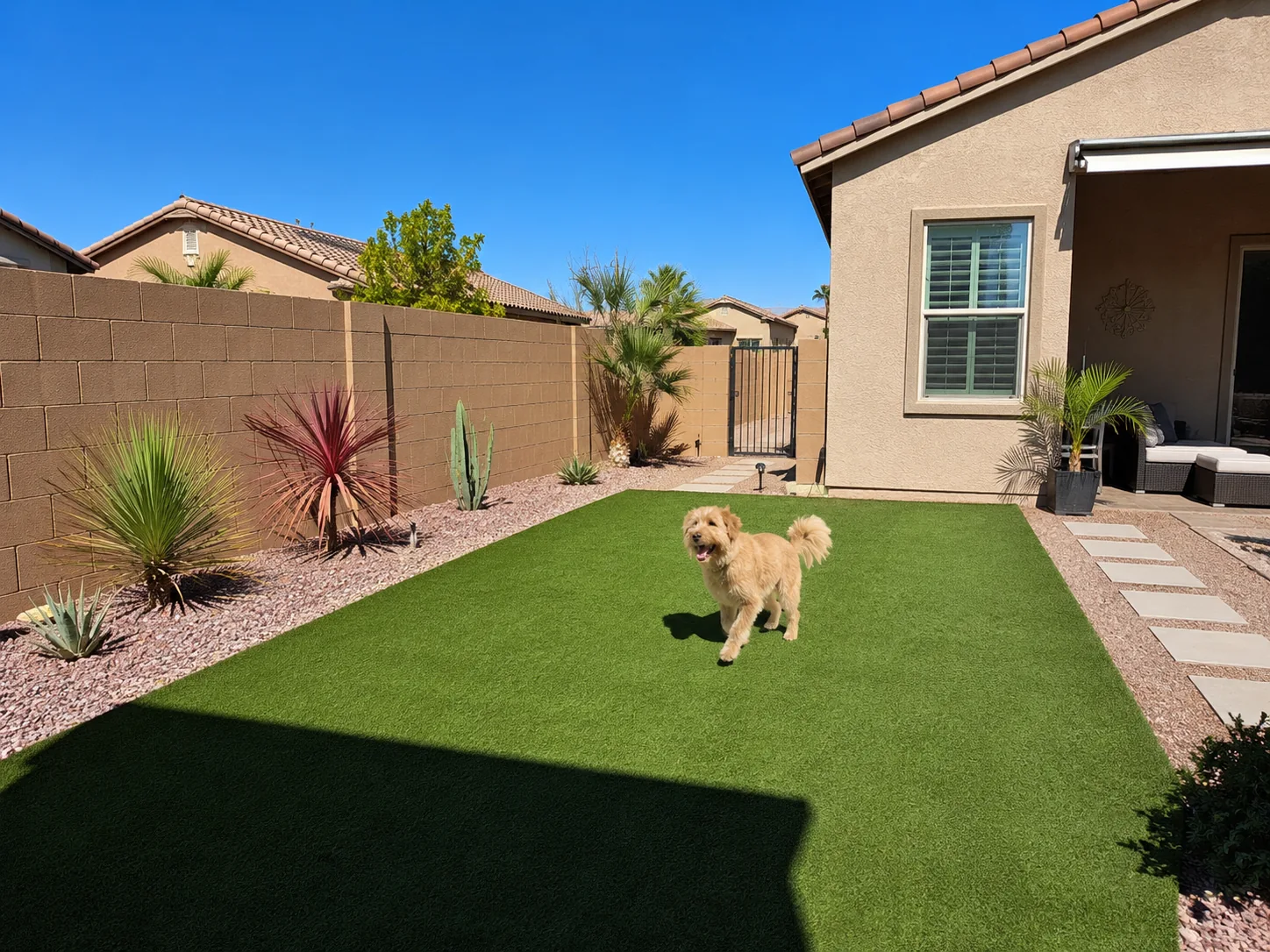 Pet turf dog run Henderson NV
