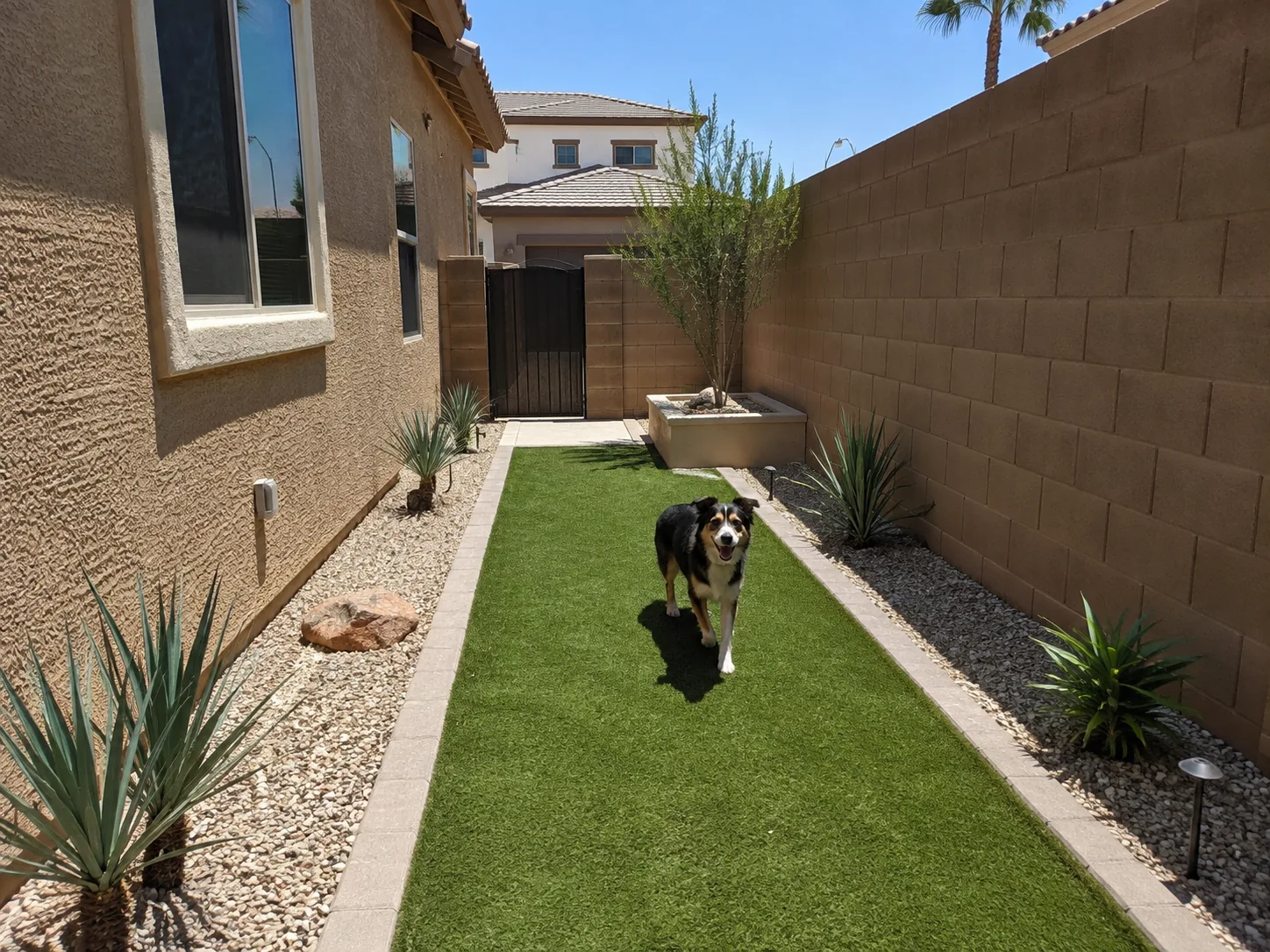 Pet turf dog run Henderson NV